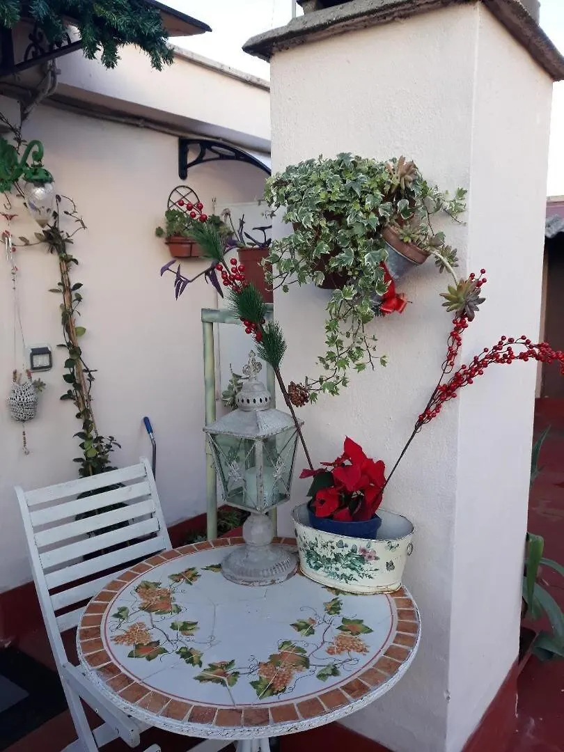 La Casina On The Roof - Studio Rome Apartment
